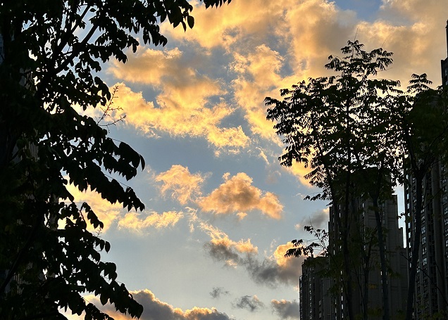 【深度解讀】2025年泰國用工風(fēng)向：合規(guī)＋成本雙維度，避免“無知吃虧”的5大雷區(qū)